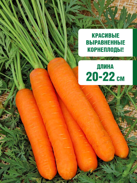 Морковь на ленте Самсон семена 