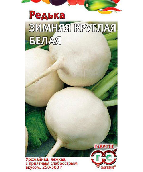 Редька Зимняя круглая белая семена 