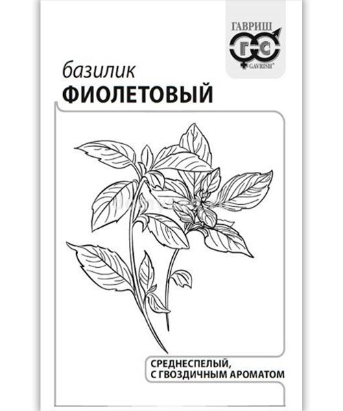 Базилик Фиолетовый семена 
