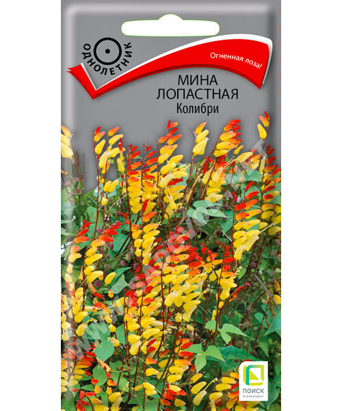 Мина Колибри семена