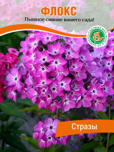 Флокс Стразы Флокс Стразы
