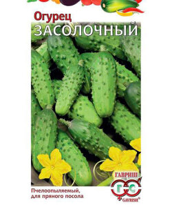 Огурец Засолочный Огурец Засолочный