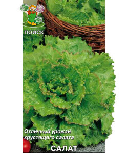 Салат Кучерявец Грибовский (простые пакеты)