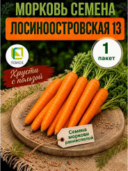 Морковь Лосиноостровская 13