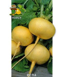 Репа Петровская 1