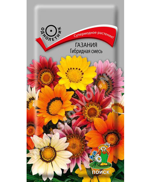 Газания гибридная Смесь семена