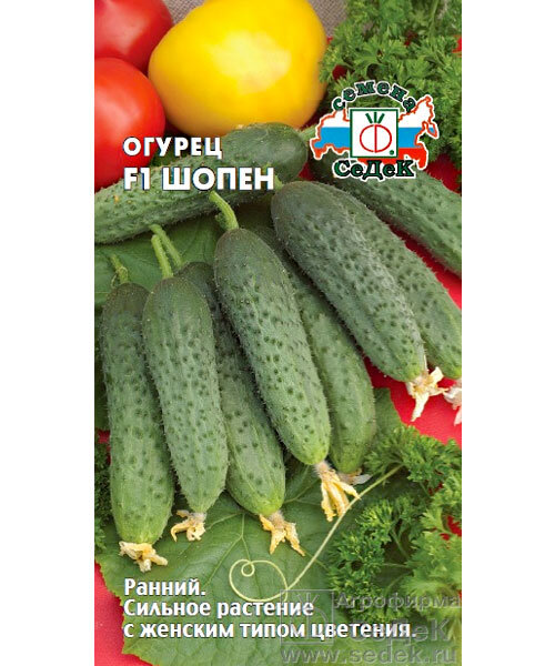 Огурец Шопен F1 семена 