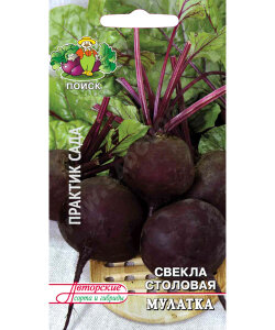 Свекла Мулатка Свекла Мулатка