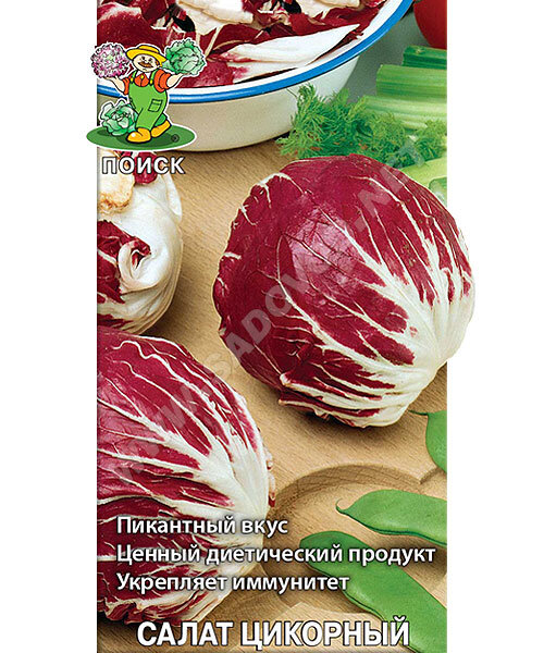 Салат цикорный Пала Росса семена 