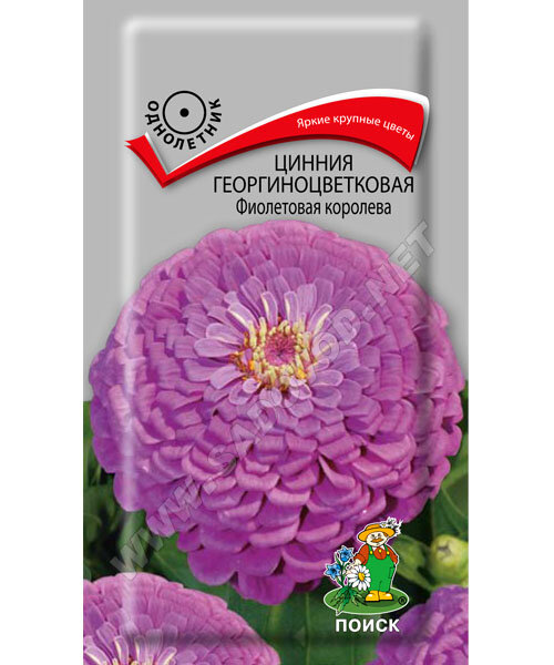 Цинния георгиноцветковая Фиолетовая Королева семена