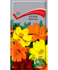 Космея Карпет Микс
