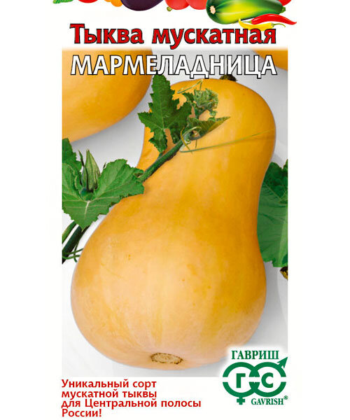 Тыква Мармеладница мускатная семена 