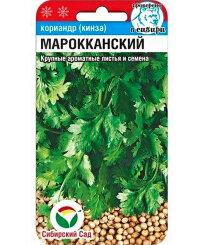 Кориандр Марокканский