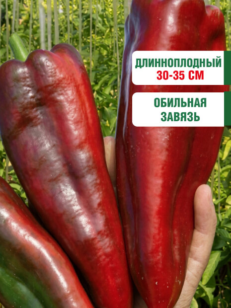 Перец сладкий Банановый Десерт семена 