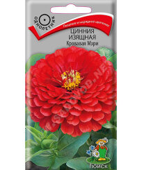 Цинния изящная Кровавая Мэри Цинния изящная Кровавая Мэри
