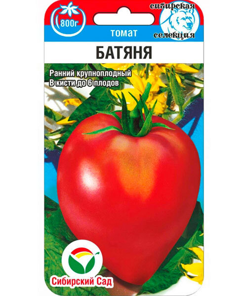 Томат Батяня семена 