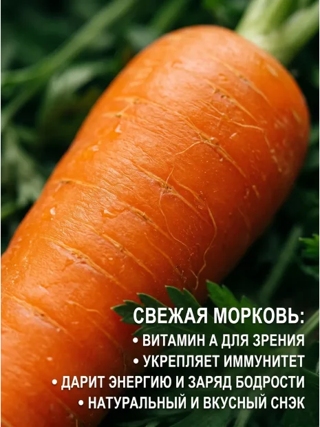 Морковь на ленте Лосиноостровская 13 семена 